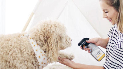 woman spraying Silver Honey on dogs paw