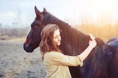 Animal Wound Care and the Skin Microbiome