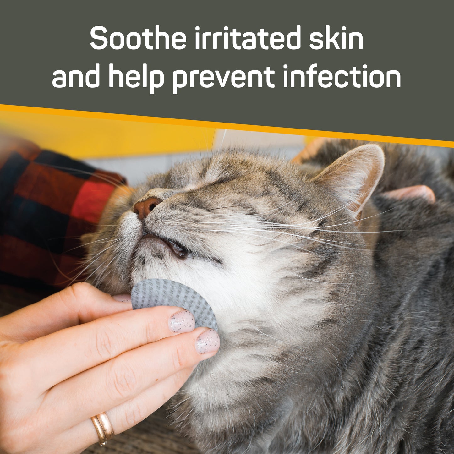 Soothe irritated skin and help prevent infection. Cat getting her chin and neck wiped with Silver Honey wipes.