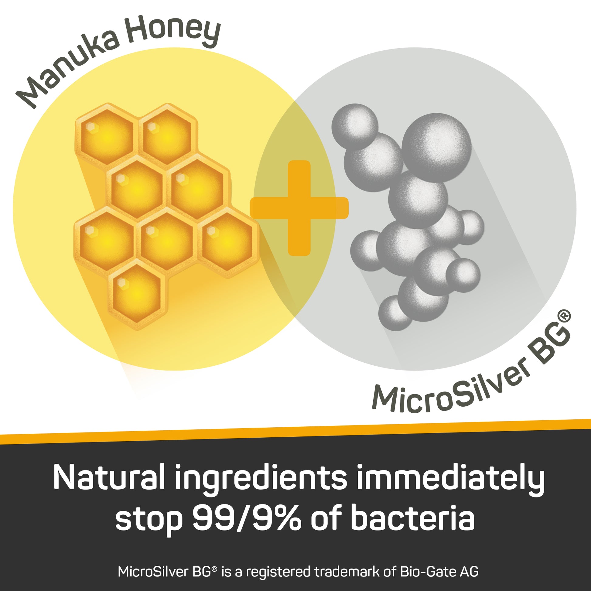Venn diagram of Manuka Honey meeting Microsilver BG. Natural ingredients immediately stop 99.9% of bacteria.