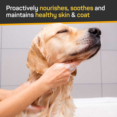 Skin & Coat Care Nourish & Soothe Shampoo with Odor Neutralizer