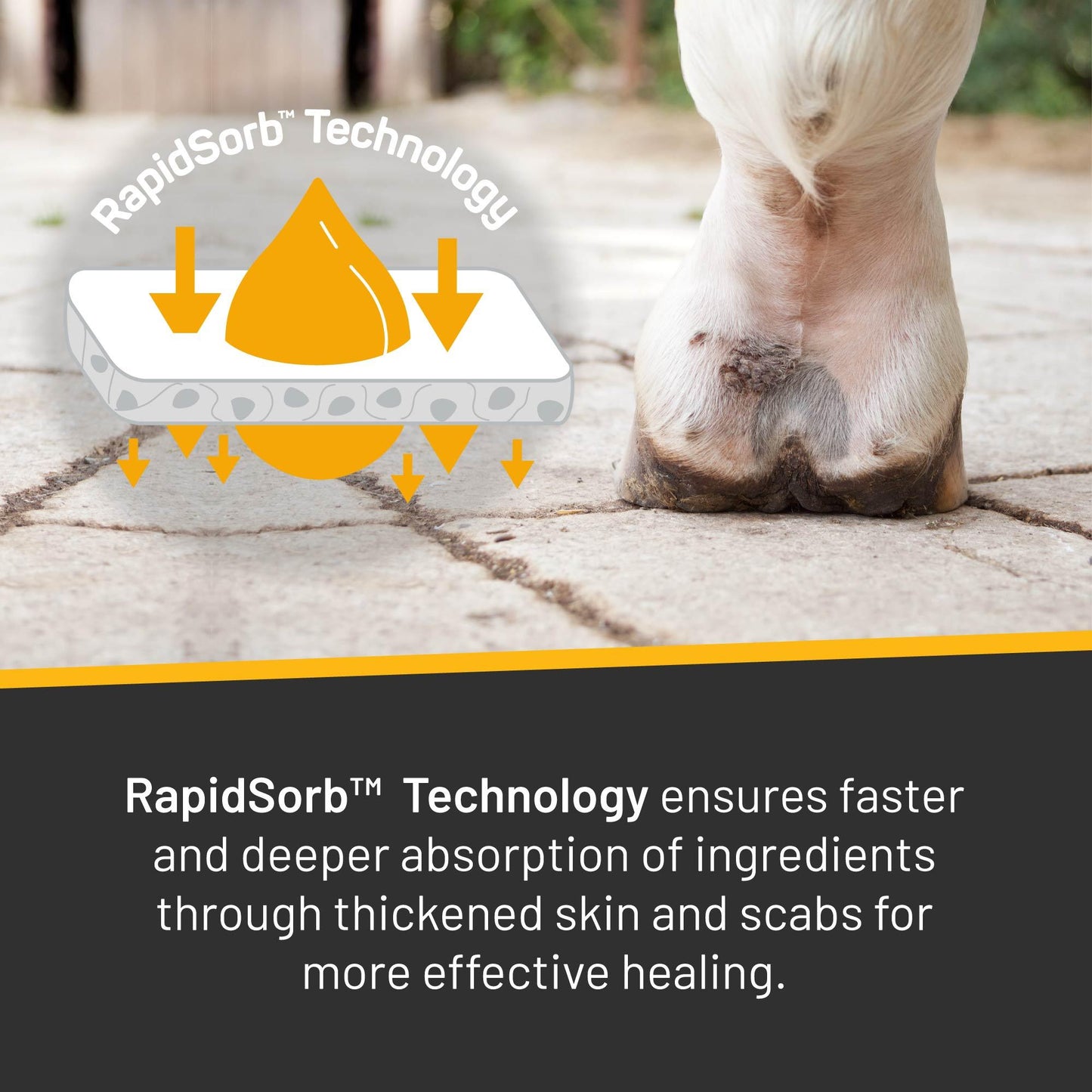 Silver Honey® Rapid Skin Relief Vet Strength Scratches Spray