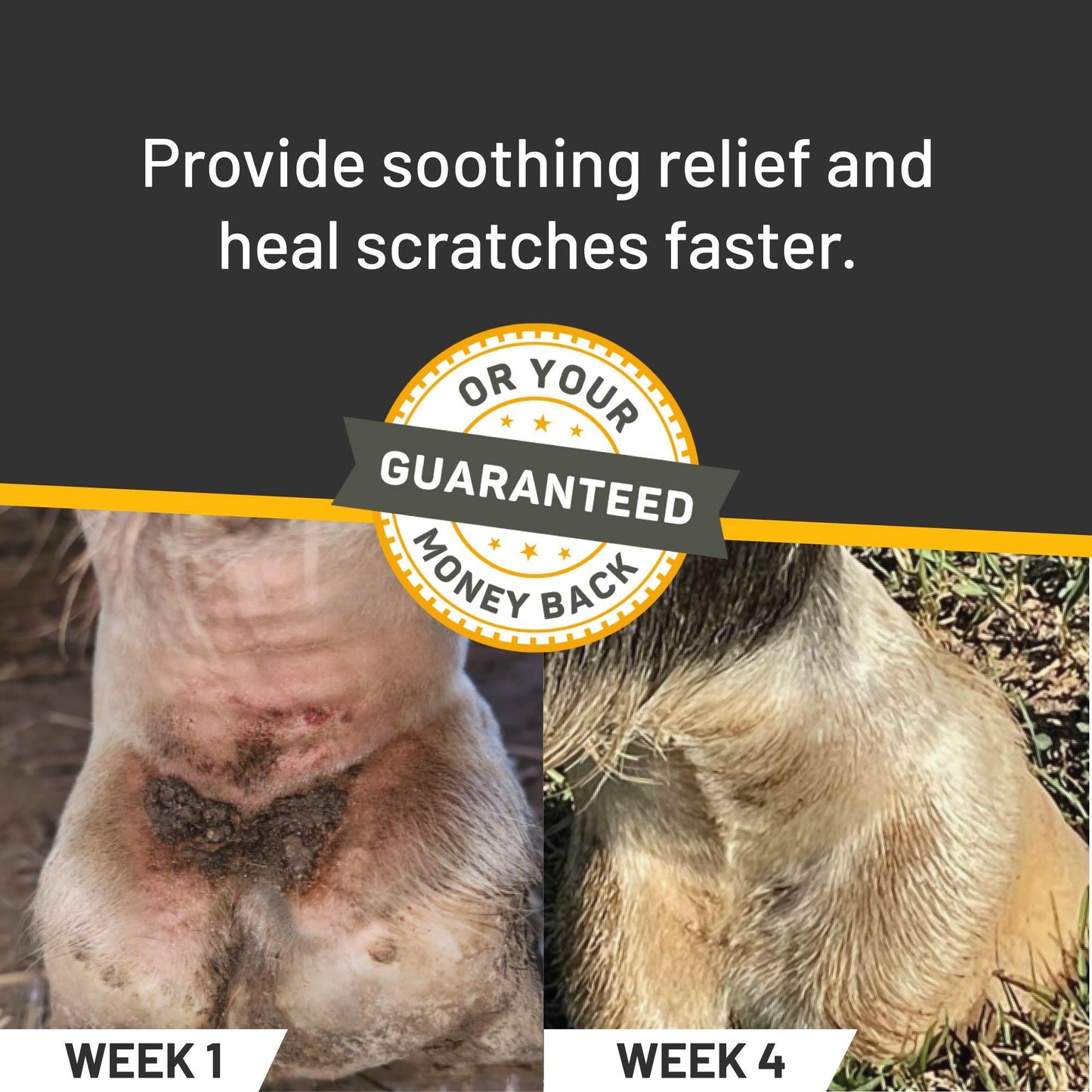 Silver Honey® Rapid Skin Relief Vet Strength Scratches Spray