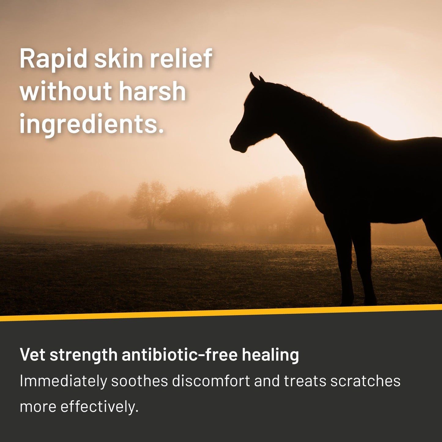 Silver Honey® Rapid Skin Relief Vet Strength Scratches Spray