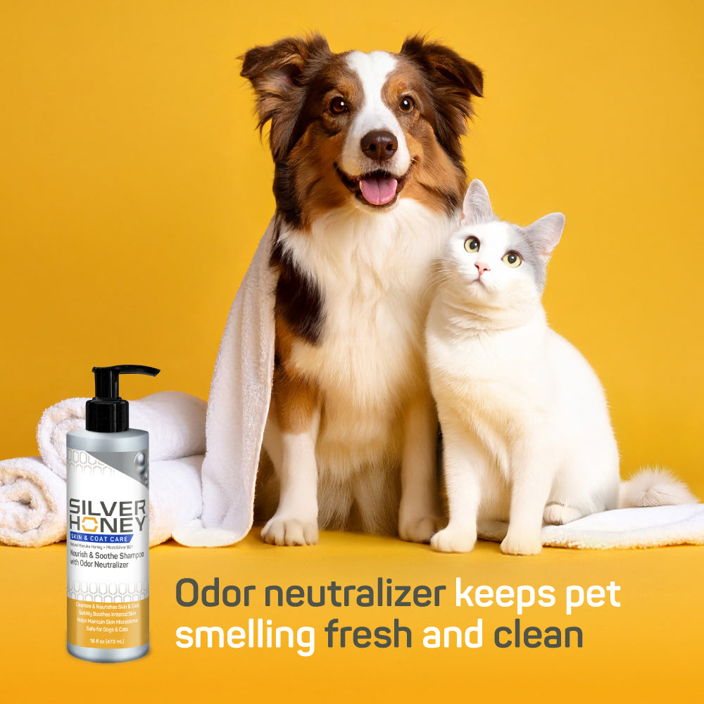 Skin & Coat Care Nourish & Soothe Shampoo with Odor Neutralizer