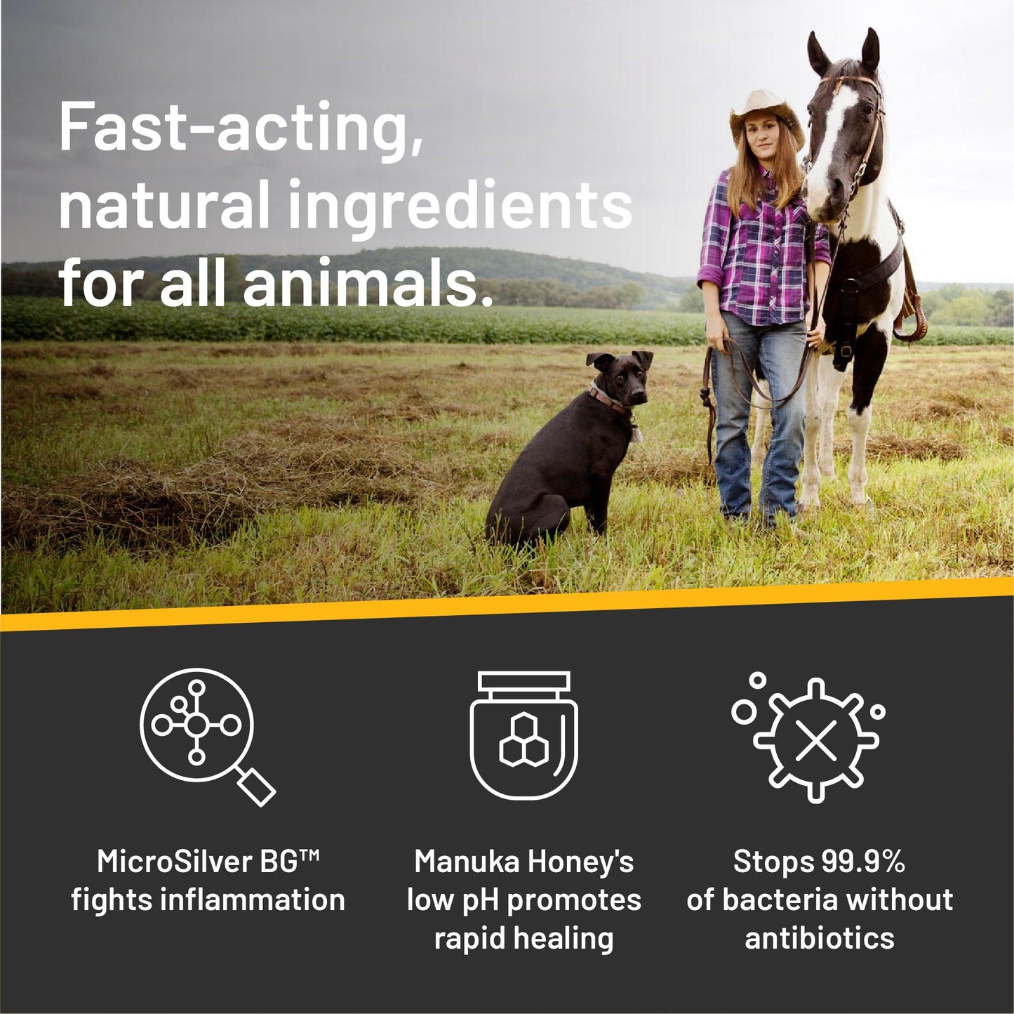 Woman in a field with a cowboy hat on, holding her horse's rein in her left hand. Her dog at her feet staring straight ahead, fast-acting, natural ingredients for all animals.