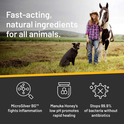 Rapid Skin Relief Medicated Shampoo