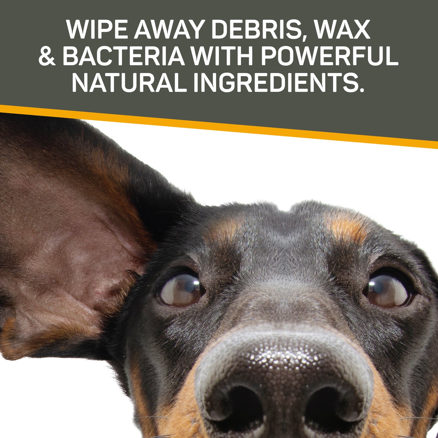 Rapid Ear Care Vet Strength Pet Wipes for Dogs and Cats - Full Case