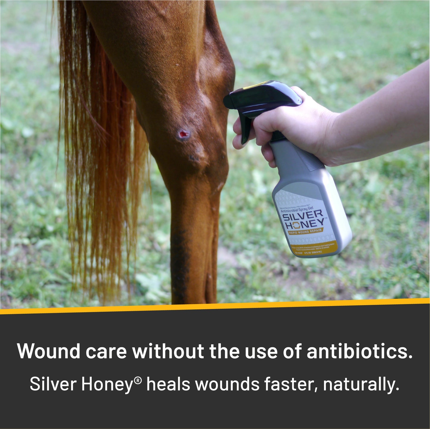 Rapid Wound Repair Spray Gel - Full Case