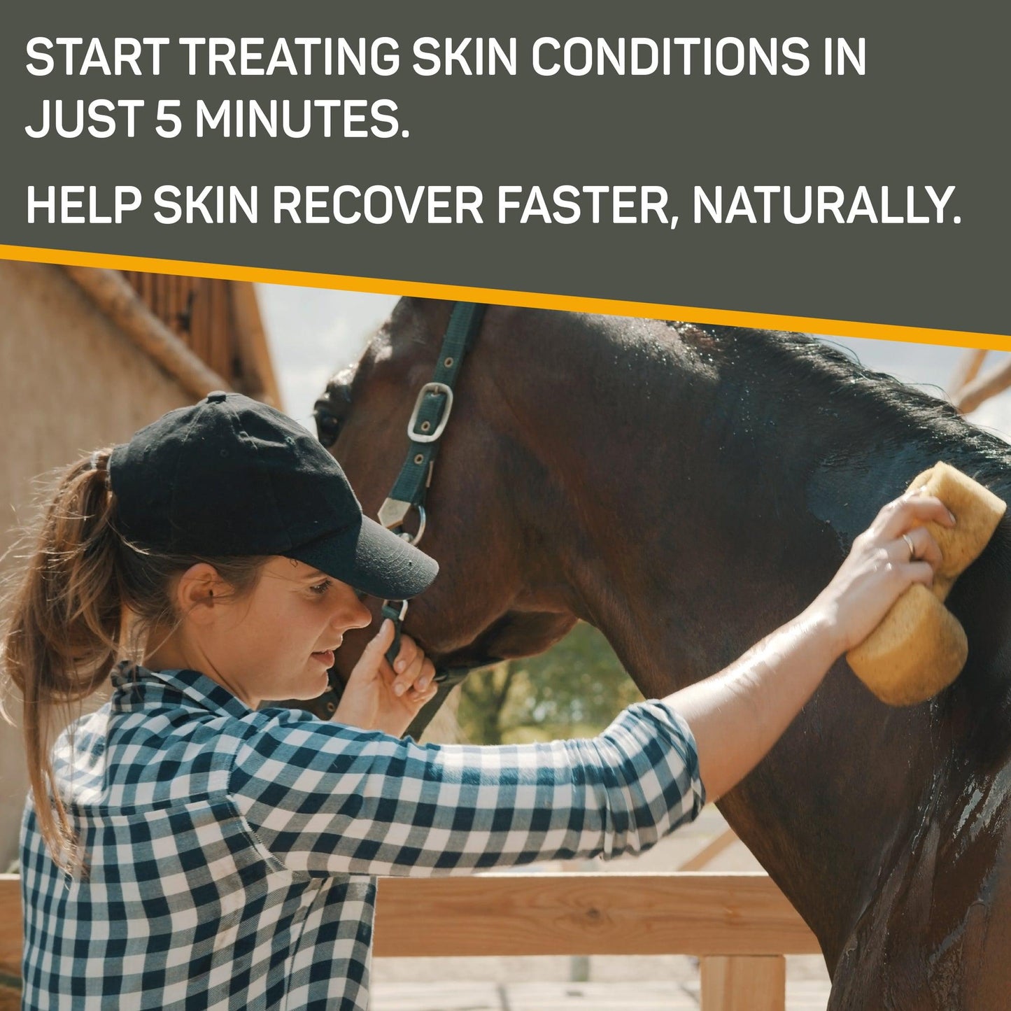 Woman in a black hat, and flannel shirt sponge bathing her horses neck. Start treating skin conditions in just 5 minutes. Helps skin recover faster, naturally.