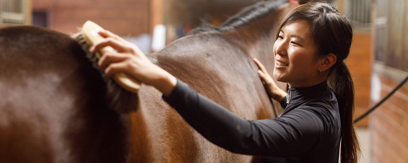 woman grooming a horse in a barn