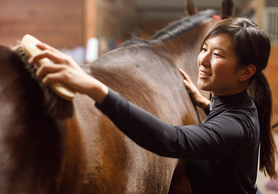 Woman grooming a horse in barn.