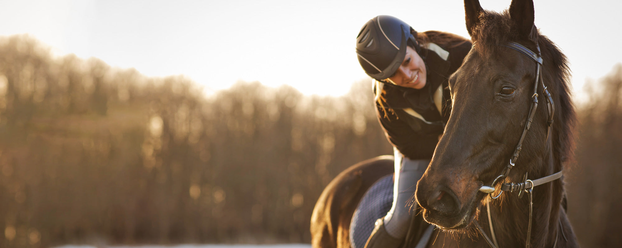 smiling woman riding bay horse in sunlight in front of trees