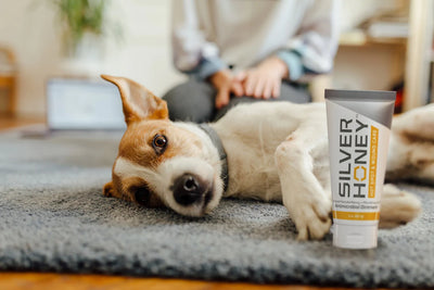 Dog lying down next to Silver Honey products