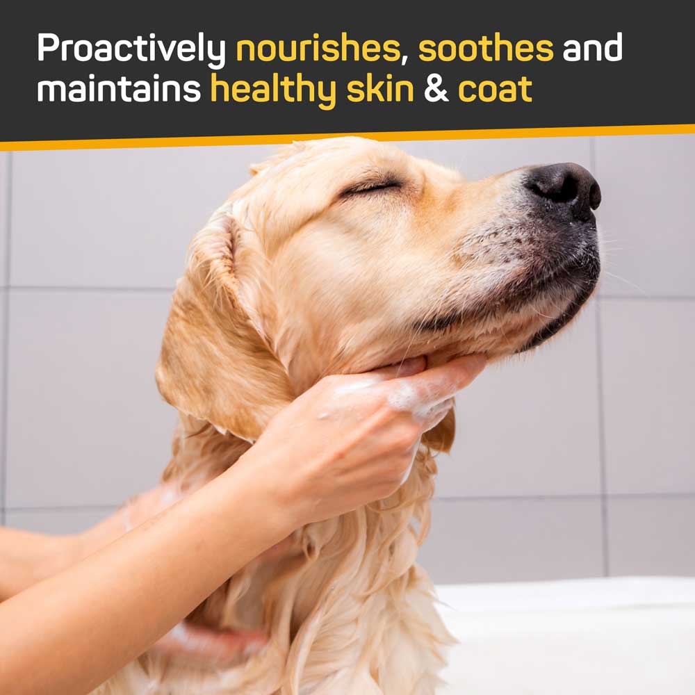 Skin & Coat Care Nourish & Soothe Shampoo with Odor Neutralizer