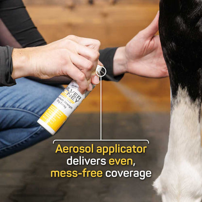 Rapid Wound Repair Maximum Strength Dry Spray