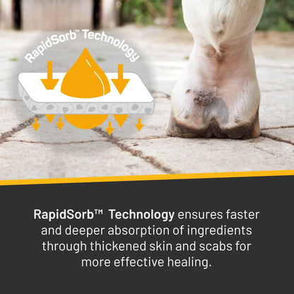 Rapid Skin Relief Vet Strength Scratches Spray