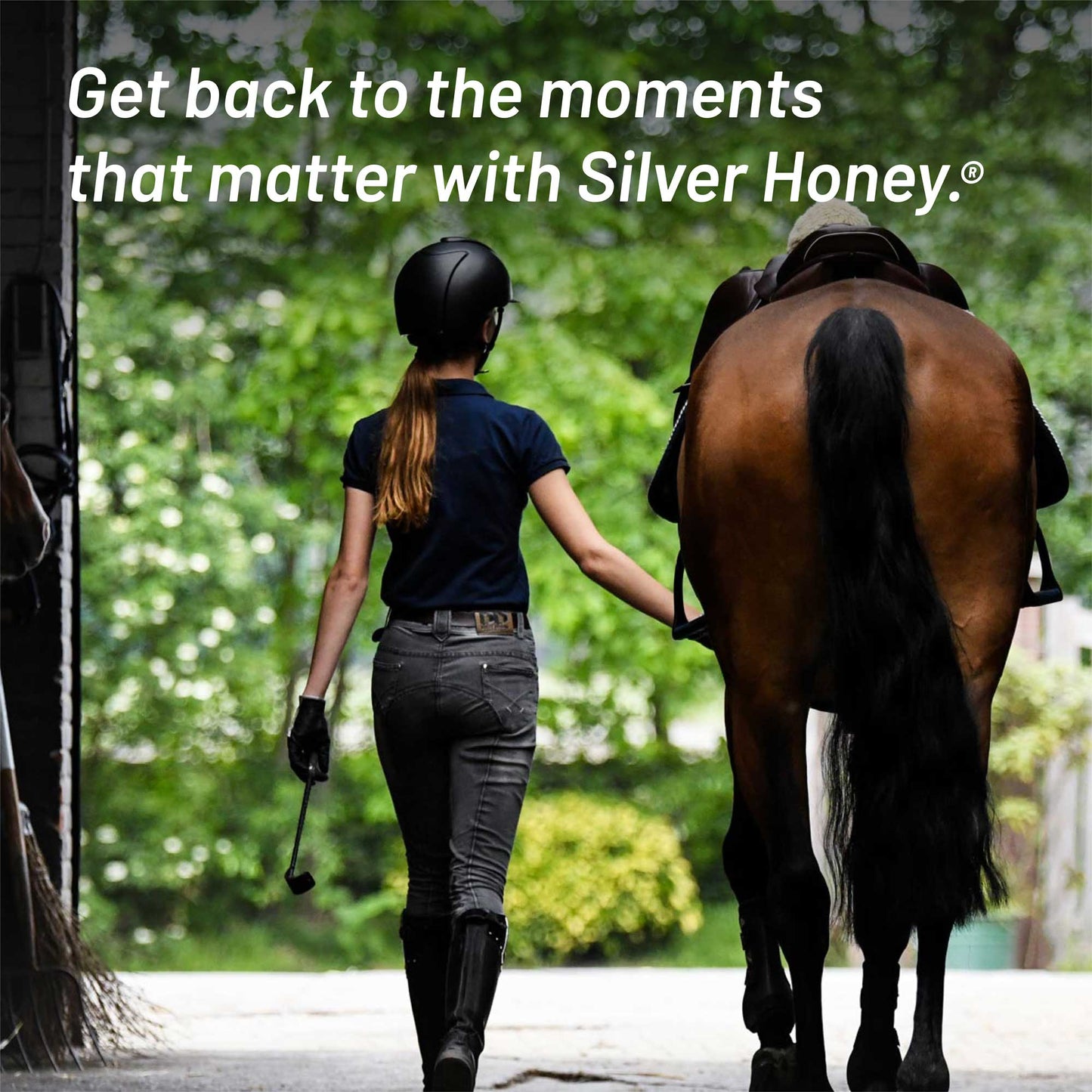 Woman in a short sleeved shirt, jeans, riding boots and riding helmet walking her brown horse with a black tail out of the barn.  Get back to the moments that matter with Silver Honey.