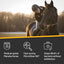 Woman in riding helmet on the back of a dark brown horse with the caption "Fast-acting, natural ingredients for all animals. Microsilver BG fights inflammation, manuka honey's low pH promotes rapid healing. Stops 99.9 percent of bacterial without antibiotics.