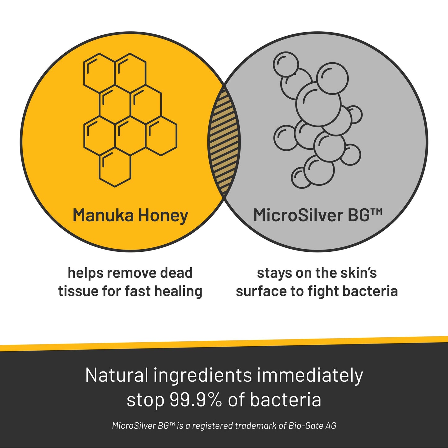 Venn diagram of Manuka Honey and Microsilver BG. Manuka honey helps remove dead tissue for fast healing. Microsilver BG stays on the skin's surface to fight bacteria