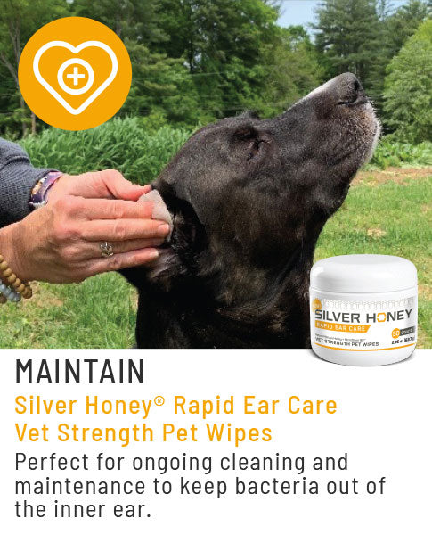 Rapid Ear Care Vet Strength Pet Ear Rinse – Silver Honey Products