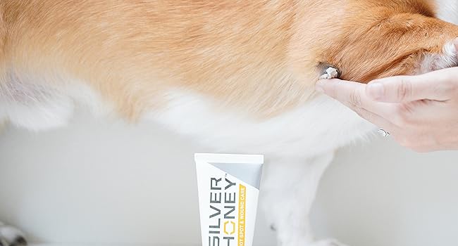 Spray Gel: thick liquid for touch-free application