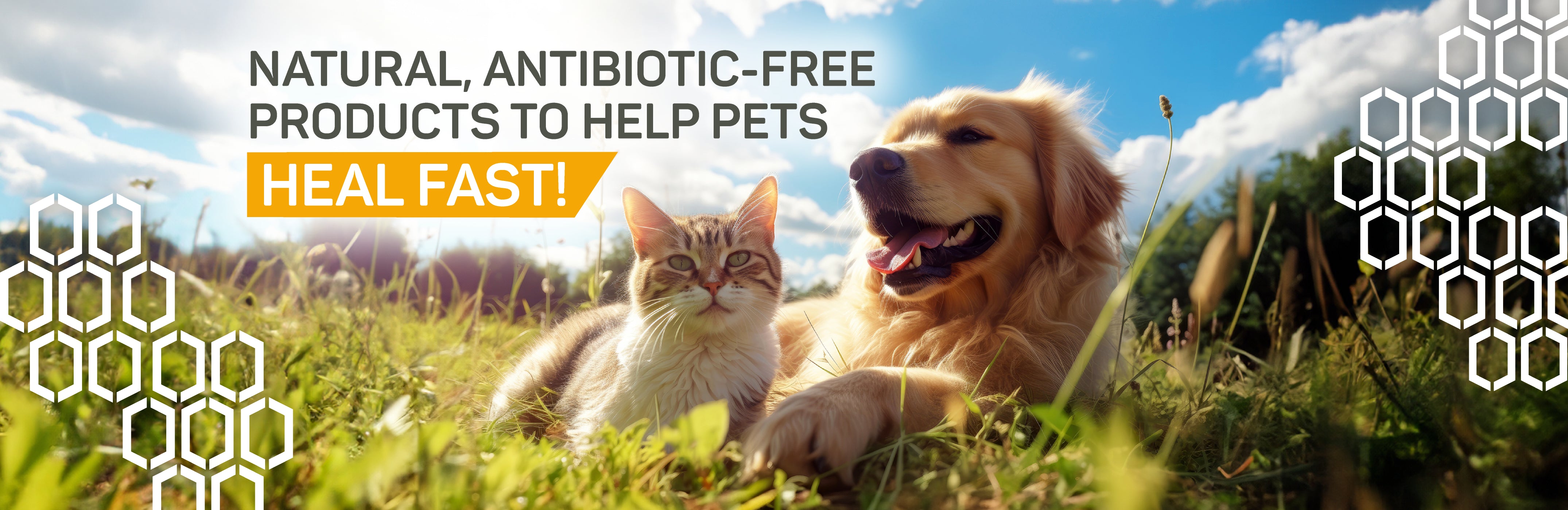 Silver Honey® Natural, Antibiotic-free products to help pets heal fast! 