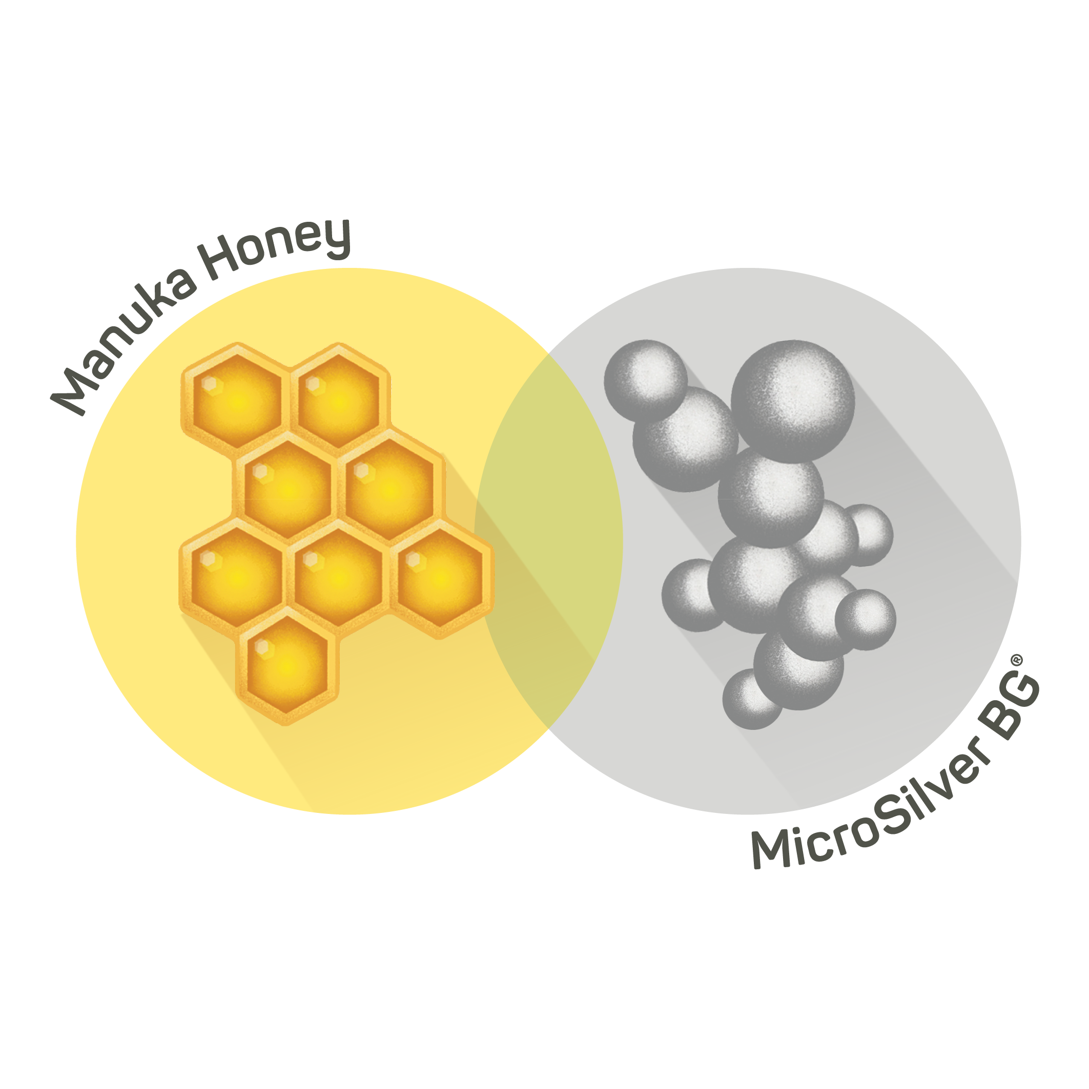 Venn diagram of Manuka Honey and MicroSilver BG.