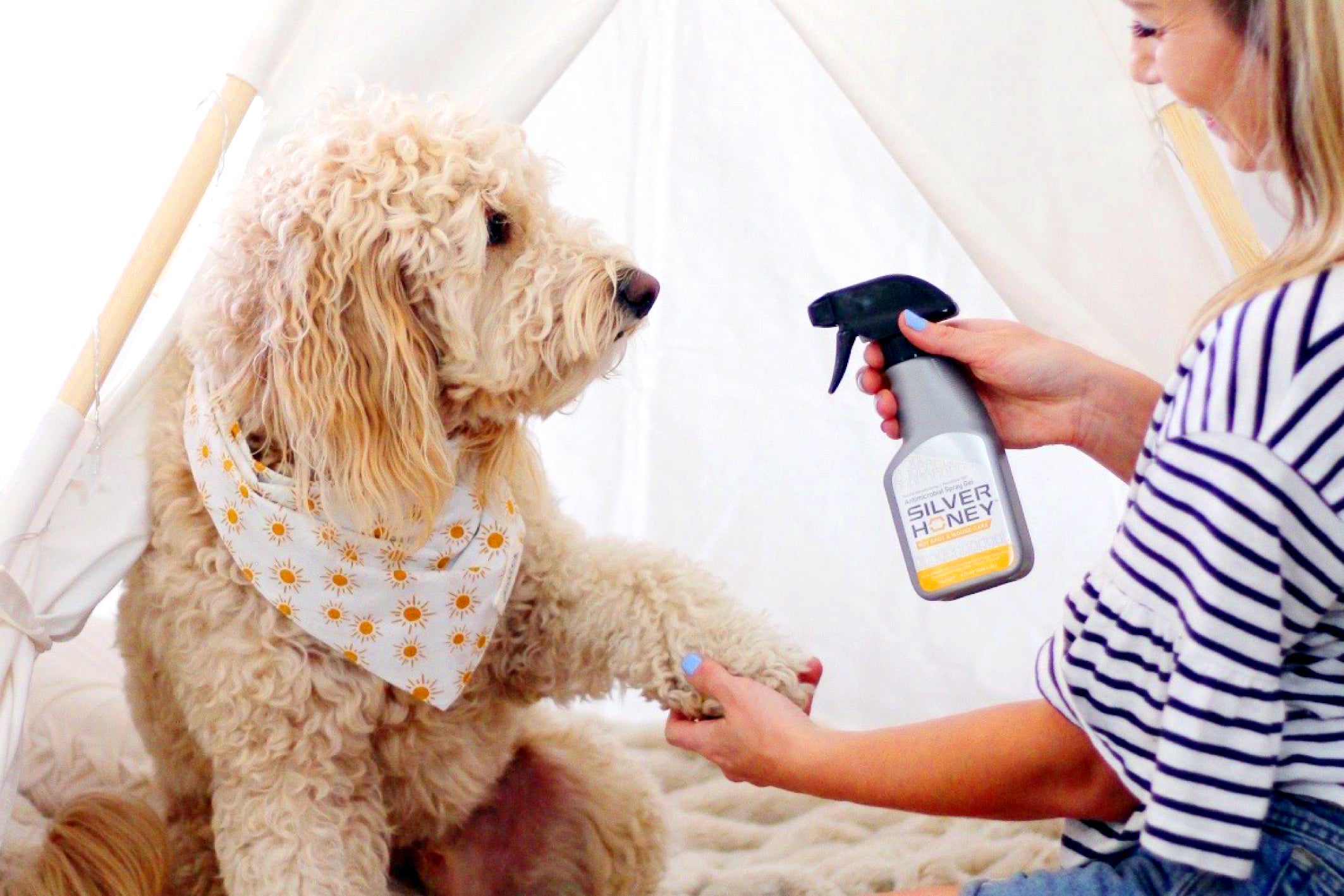 Woman holding her Labradoodle's paw and spraying Silver Honey Spray Gel on it.