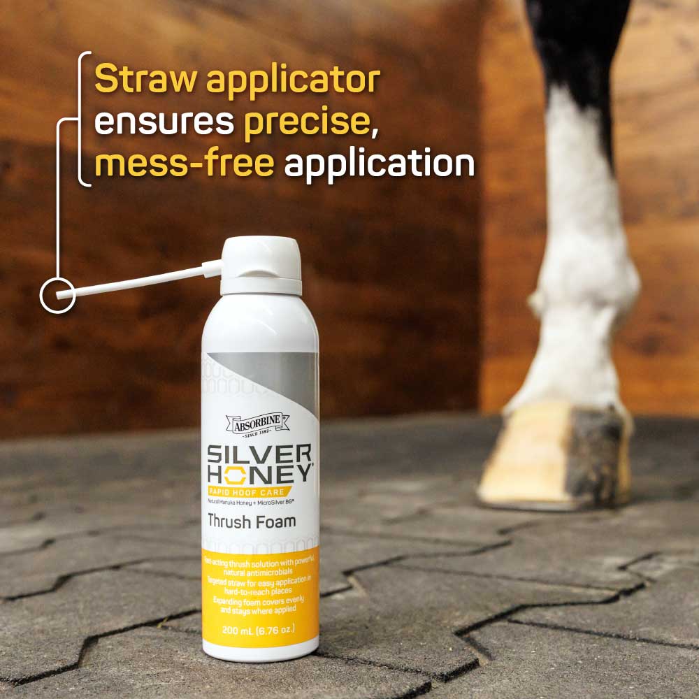 Rapid Hoof Care Thrush Foam – Silver Honey Products