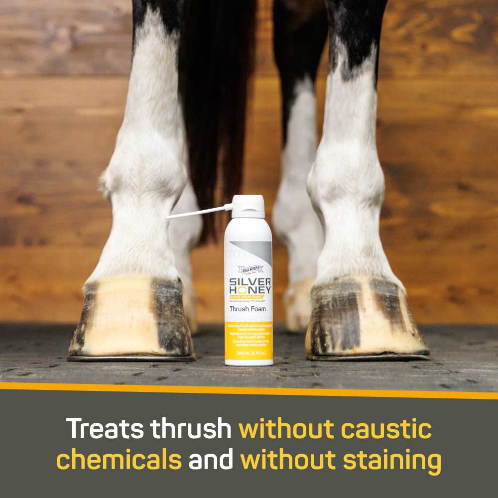 Rapid Hoof Care Thrush Foam