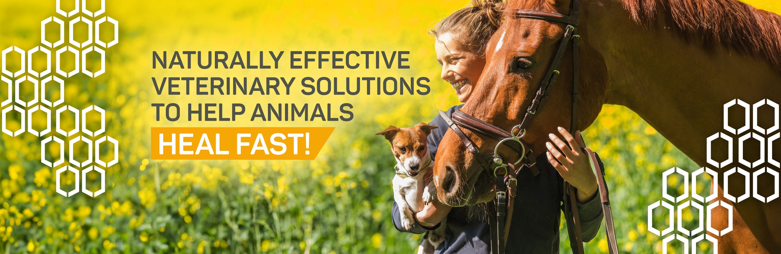 Silver Honey naturally effective veterinary solutions to help animals heal fast. Smiling woman holding a Jack Russell terrier in her right hand with brown horse's head over her left shoulder.