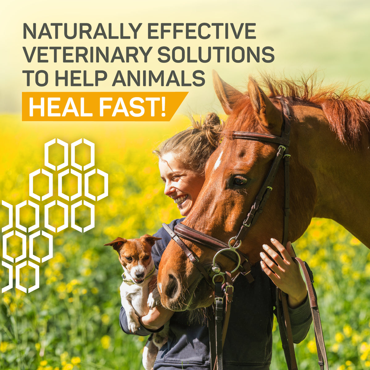 Silver Honey naturally effective veterinary solutions to help animals heal fast. Smiling woman holding a Jack Russell terrier in her right hand with brown horse's head over her left shoulder.