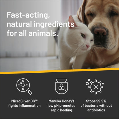 White cat snuggling the nose of a big yellow lab.  Fast-acting natural ingredients for all animals.  Microsilver BG fights inflamation.  Manuka Honey's low pH promotes rapid healing.  Stops 99.9% of bacteria without antibiotics.