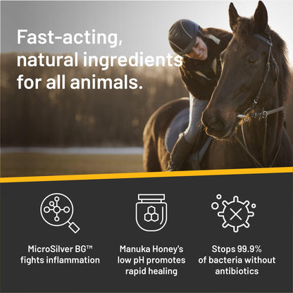 Woman in riding helmet on the back of a dark brown horse with the caption "Fast-acting, natural ingredients for all animals. Microsilver BG fights inflammation, manuka honey's low pH promotes rapid healing. Stops 99.9 percent of bacterial without antibiotics.