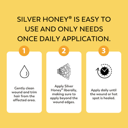 Instructions for using Silver Honey on a yellow background