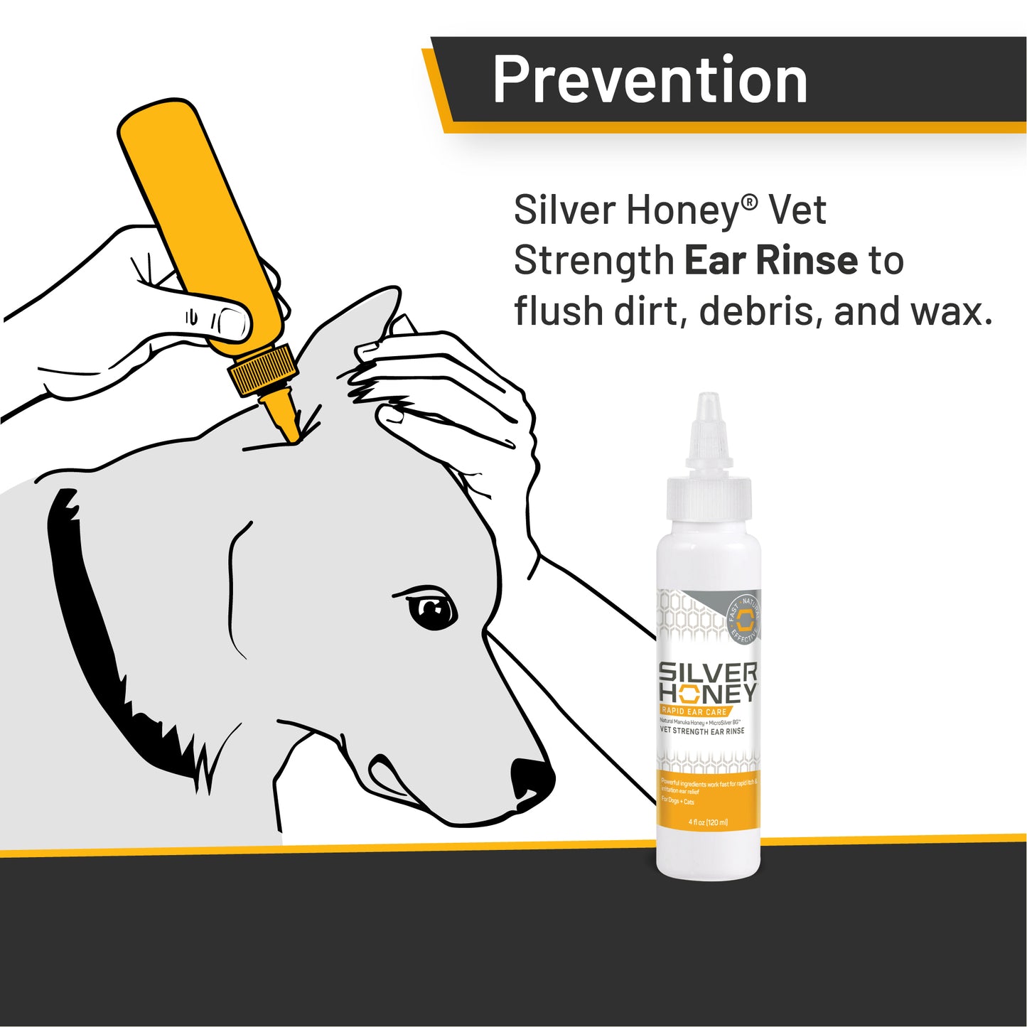 Silver Honey Rapid Ear Care rinse.  Prevention, Silver Honey Vet Strength Ear Rinse to flush dirt, debris and wax.
