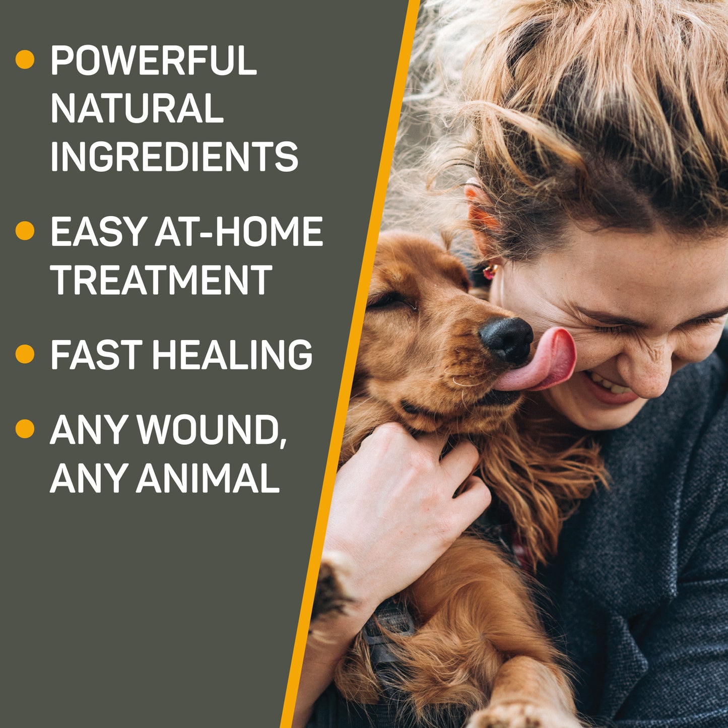 Golden Retriever dog licking the face of her owner. Powerful natural ingredients, easy at-home treatment, fast healing, any wound, any animal.