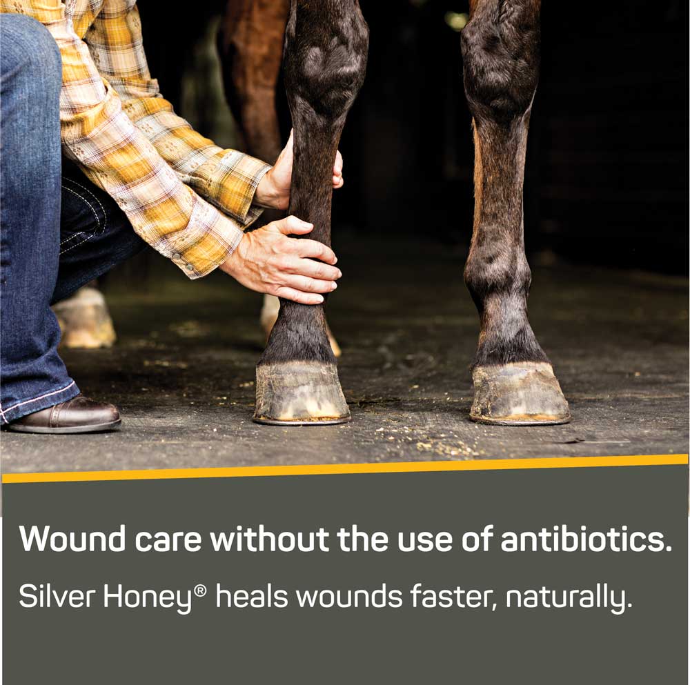 Rapid Wound Repair Combo Pack (Ointment & Spray Gel)