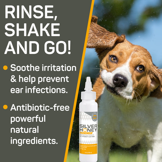 Rapid Ear Care Vet Strength Pet Ear Rinse Silver Honey Products