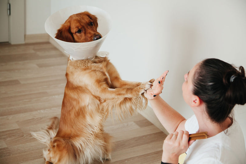 Wound Care