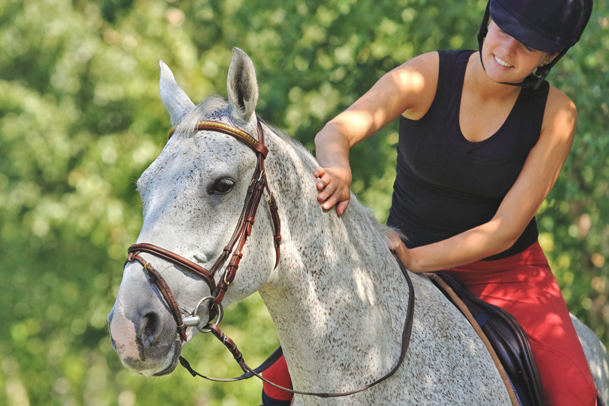 woman riding and petting gray horse